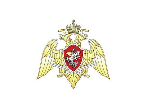 Росгвардии передали 100 машин для охраны чемпионата мира по футболу