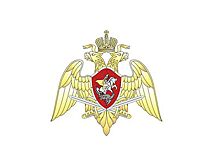 Росгвардии передали 100 машин для охраны чемпионата мира по футболу
