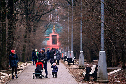 На юго-западе Москвы в парке обнаружен чемодан с человеческим телом