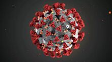 В Германии выявили первый случай заражения южноафриканским коронавирусом