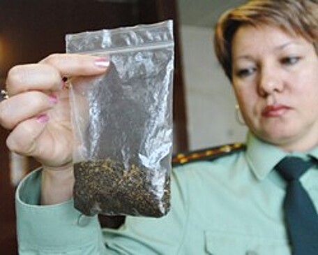 В России изъяты прибывшие контрабандой 209 кг гашиша