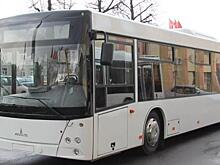 В Солнечном районе после почти годичного перерыва пошли автобусы