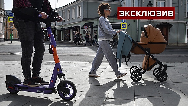 Автоэксперт Васильев раскритиковал идею «лежачих полицейских» для СИМ