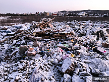 Россельхознадзор подтвердил свалку отходов животноводства под Челябинском