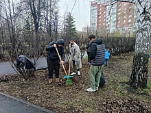 Мэр Тюмени прошелся граблями по скверу Депутатов: «От активности зависит финансирование»