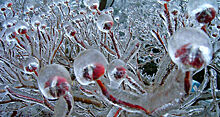 Ледяное вдохновение — 23 фото интересных образований изо льда
