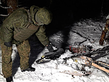 Выяснилось, почему ВС РФ не ответили на атаку по резиденции президента РФ