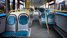 Пассажиры застали водителя автобуса за просмотром порно