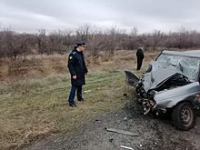 В Калмыкии в ДТП с грузовиком погибли два человека