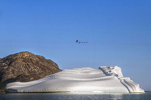 Министр обороны Бельгии заявил о "плане Б" на случай захвата США Гренландии