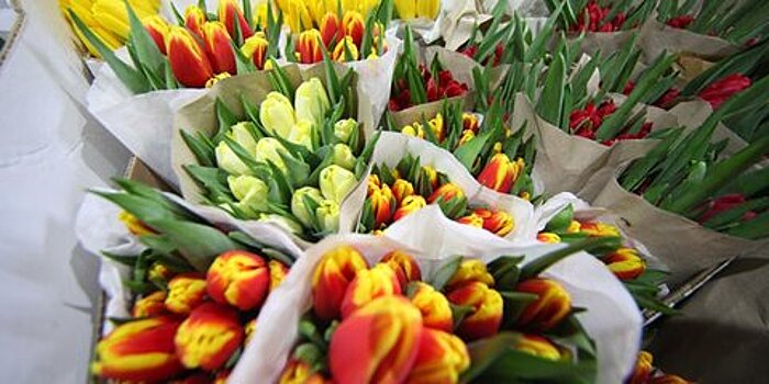 В Госдуме предложили снизить цены на цветы в честь 8 марта