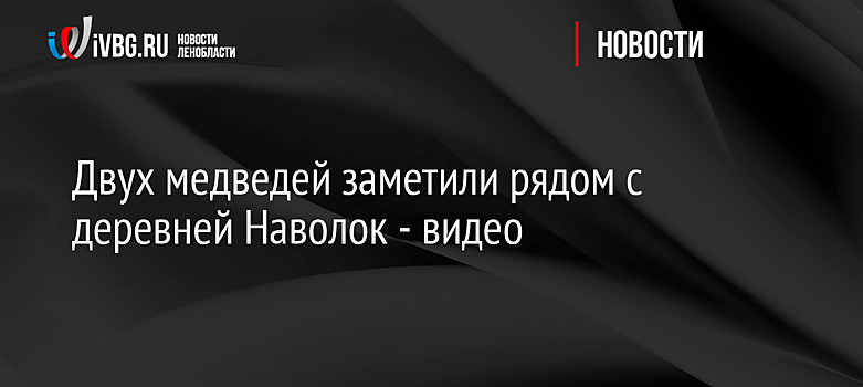 Двух медведей заметили рядом с деревней Наволок - видео