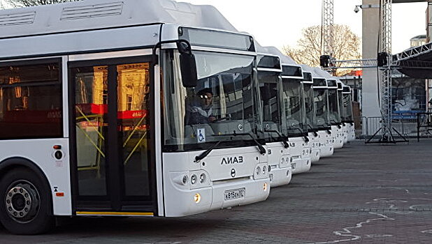 Около 50 новых автобусных маршрутов появятся в Москве