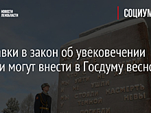 Поправки в закон об увековечении памяти могут внести в Госдуму весной