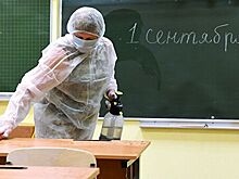 Родителям запретят приходить в российские школы