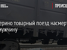 В Кикерино товарный поезд насмерть сбил мужчину