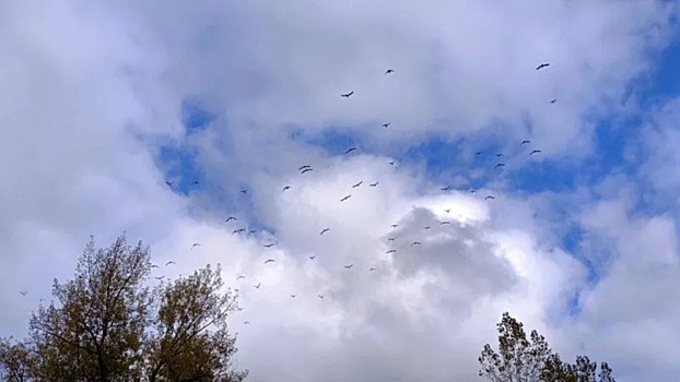 Народные приметы на 12 октября: что нельзя делать в этот день