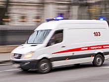 В Самарской области пять человек пострадали при обрушении рядов в цирке