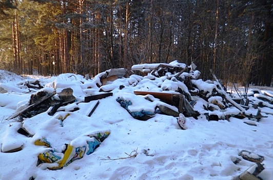 В Подмосковье выделили почти 190 млн рублей городским округам на уборку мусора в лесах
