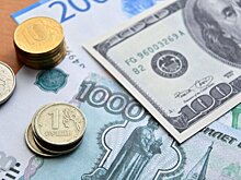 Экономист рассказал, может ли курс доллара подняться до 100 рублей