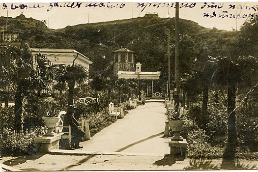 В пятигорском Цветнике появится пальмовая аллея