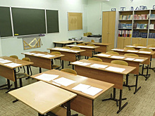 В Петербурге из-за вспышек COVID-19, ОРВИ и гриппа временно прекращены занятия в школах