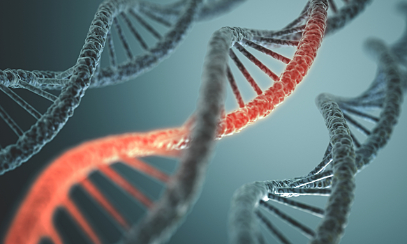 Ученые нашли новый способ распознавать ДНК