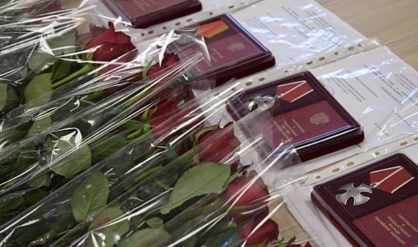 В Камышине семьям погибших на СВО военнослужащих вручили государственные награды