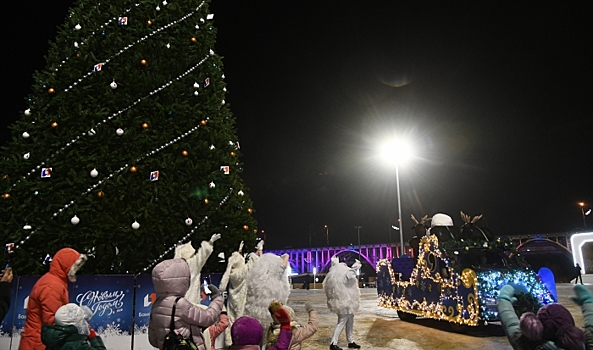Для жителей Волгограда подготовили более 80 новогодних мероприятий