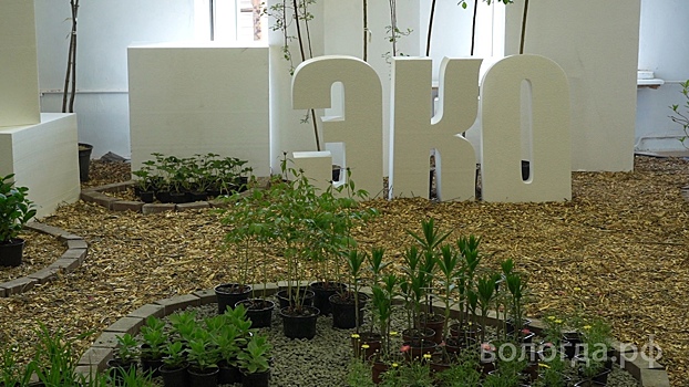 Проект звукового карманного парка представили архитекторы ВоГУ на экофоруме