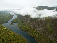 "Роснефть" поддержала исследование ценных видов рыб Енисея