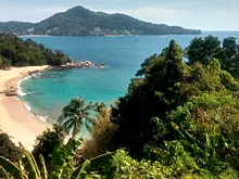 Россияне начали зарабатывать на «порнотурах» за границей