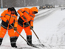 В Москве к выходным снежный покров увеличится до 5 см