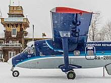 Терем ленд-лиза