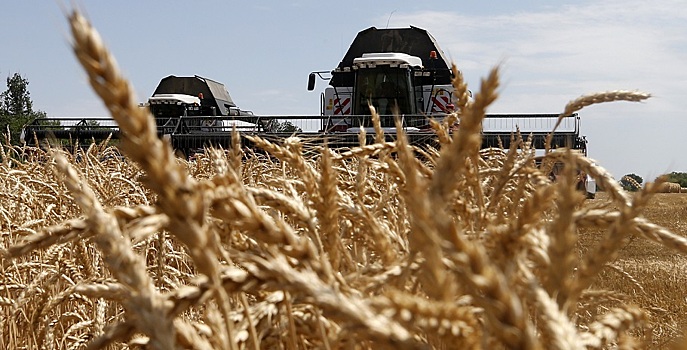Мишустин заявил о рекордном урожае зерна