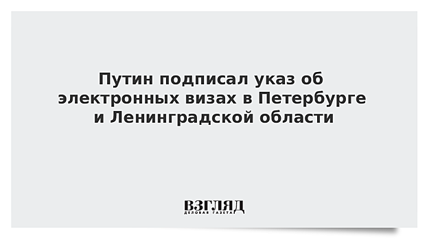 Путин поддержал предложение Беглова по электронной визе