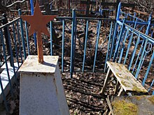 Прокуратура обязала городские власти взяться за благоустройство Вологодского кладбища