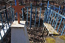 Прокуратура обязала городские власти взяться за благоустройство Вологодского кладбища