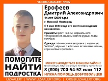 14-летний мальчик пропал в Нижнем Новгороде