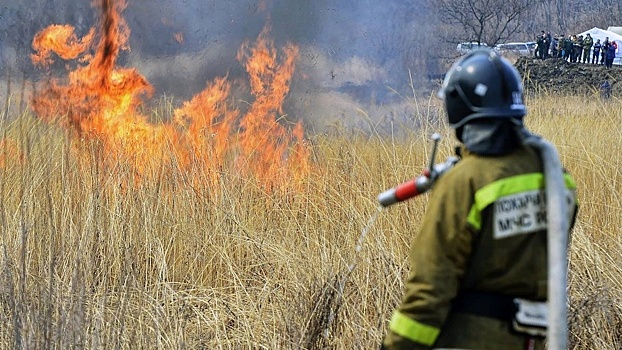 МЧС предупреждает: с 6 по 11 мая в Новосибирской области сохранится высокая пожароопасность