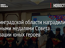 В Ленинградской области наградили памятными медалями Совета Федерации юных героев