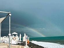 В Сочи гость из Чувашии разбил палкой стекла 10 автомобилей