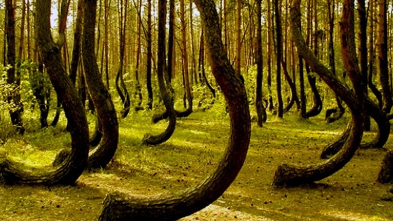 Қырғызстаннан келген секс