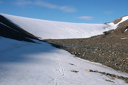 Ученые исследуют тающий ледник Таймыра