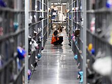 Маркетплейсы в России предложили приравнять к торговым сетям