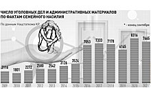 В Киргизии растет число фактов семейного насилия