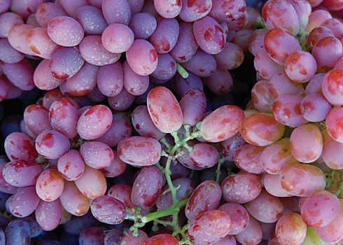 Ученые назвали виноград лучшим антидепрессантом