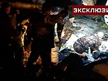 «Есть буквально все»: эксперт о самописцах на жестко севшем под Иркутском самолете