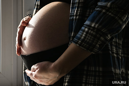 В ГД внесли проекты об отсрочке наказания для осужденных беременных
