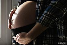 В ГД внесли проекты об отсрочке наказания для осужденных беременных